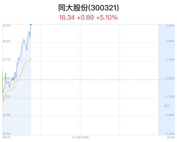 同大股份大幅上涨 主力净流入增加